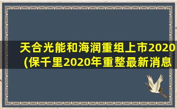 天合光能和海润重组上市2020(保千里2020年重整最新消息)-图1