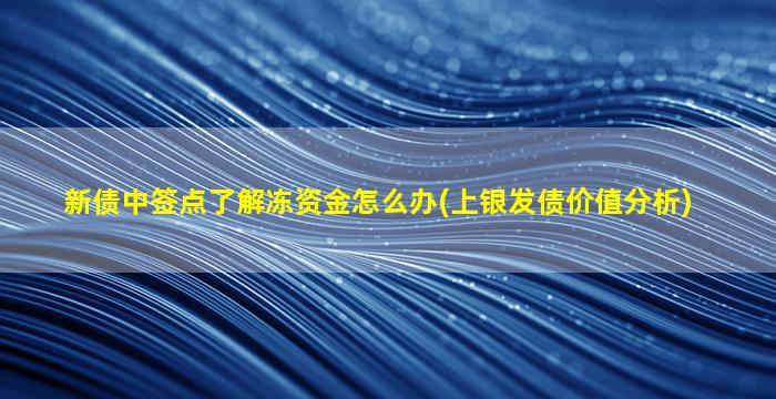 新债中签点了解冻资金怎么办(上银发债价值分析)-图1