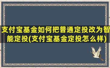 支付宝基金如何把普通定投改为智能定投(支付宝基金定投怎么样)-图1