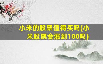 小米的股票值得买吗(小米股票会涨到100吗)-图1