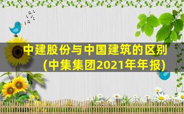 中建股份与中国建筑的区别(中集集团2021年年报)-图1