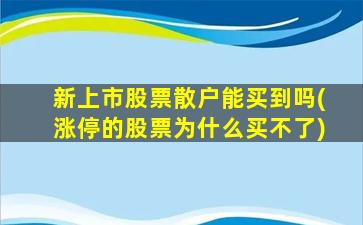 新上市股票散户能买到吗(涨停的股票为什么买不了)-图1