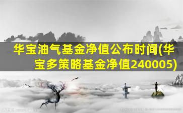 华宝油气基金净值公布时间(华宝多策略基金净值240005)-图1