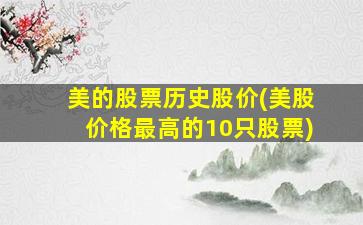 美的股票历史股价(美股价格最高的10只股票)-图1