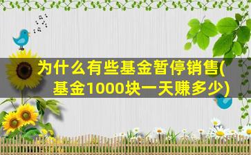 为什么有些基金暂停销售(基金1000块一天赚多少)-图1