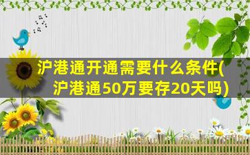 沪港通开通需要什么条件(沪港通50万要存20天吗)-图1