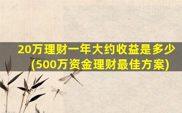 20万理财一年大约收益是多少(500万资金理财最佳方案)-图1