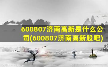 600807济南高新是什么公司(600807济南高新股吧)-图1