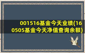 001516基金今天业绩(160505基金今天净值查询余额)-图1