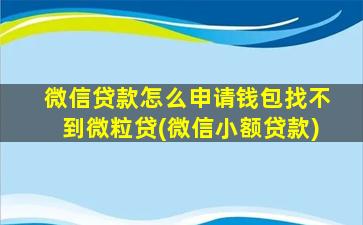 微信贷款怎么申请钱包找不到微粒贷(微信小额贷款)-图1