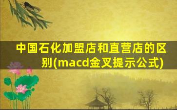 中国石化加盟店和直营店的区别(macd金叉提示公式)-图1