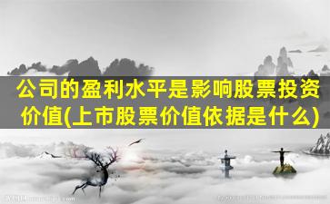 公司的盈利水平是影响股票投资价值(上市股票价值依据是什么)-图1