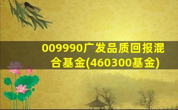 009990广发品质回报混合基金(460300基金)-图1