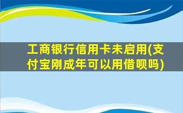 工商银行信用卡未启用(支付宝刚成年可以用借呗吗)-图1