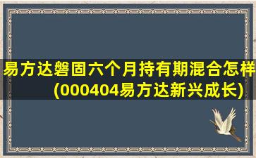 易方达磐固六个月持有期混合怎样(000404易方达新兴成长)-图1