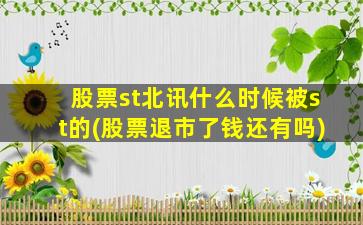 股票st北讯什么时候被st的(股票退市了钱还有吗)-图1