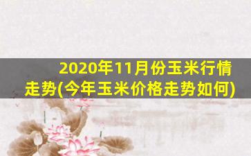 2020年11月份玉米行情走势(今年玉米价格走势如何)-图1