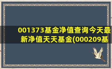 001373基金净值查询今天最新净值天天基金(000209基金净值)-图1