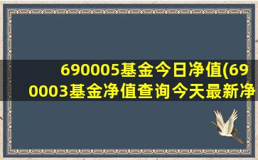 690005基金今日净值(690003基金净值查询今天最新净值)-图1