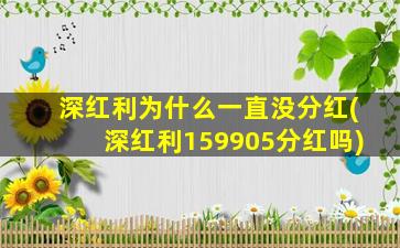 深红利为什么一直没分红(深红利159905分红吗)-图1