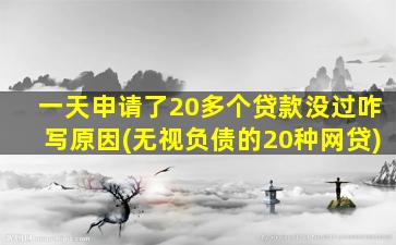 一天申请了20多个贷款没过咋写原因(无视负债的20种网贷)-图1