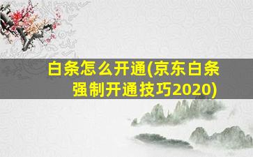 白条怎么开通(京东白条强制开通技巧2020)-图1