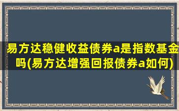 易方达稳健收益债券a是指数基金吗(易方达增强回报债券a如何)-图1