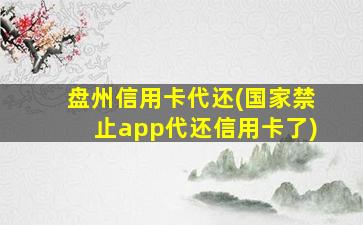 盘州信用卡代还(国家禁止app代还信用卡了)-图1