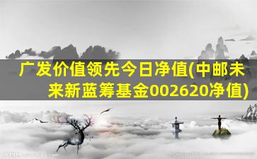 广发价值领先今日净值(中邮未来新蓝筹基金002620净值)-图1