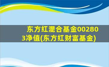 东方红混合基金002803净值(东方红财富基金)-图1