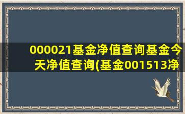 000021基金净值查询基金今天净值查询(基金001513净值查询)-图1