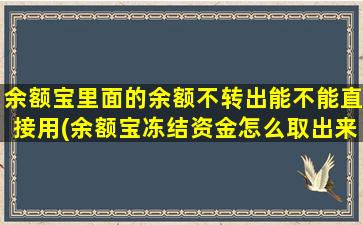 余额宝里面的余额不转出能不能直接用(余额宝冻结资金怎么取出来)-图1