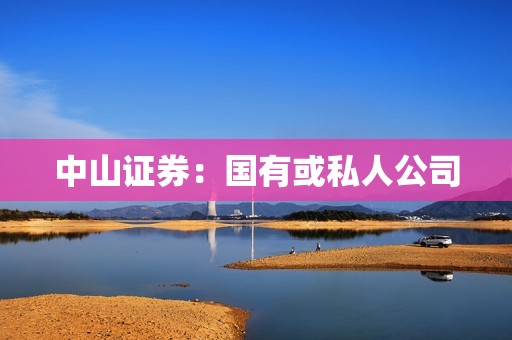 中山证券：国有或私人公司？ 资讯